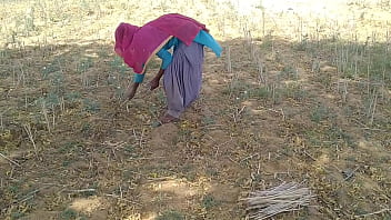 देसी इंडियन ब्वॉयफ्रेंड ने खेत में काम करती हुई उसकी मस्त चोदाई