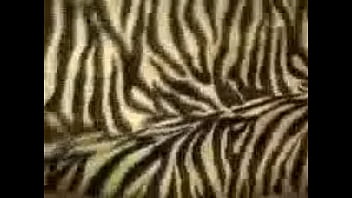 Gadis Arab Yang Menggoda Dengan Lekuk Tubuhnya Yang Memikat