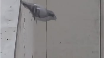 Rola Tega Diri Di Instagram Live, Tonton Aksi Panasnya!