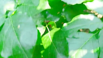 Video Mesum Di Hutan India