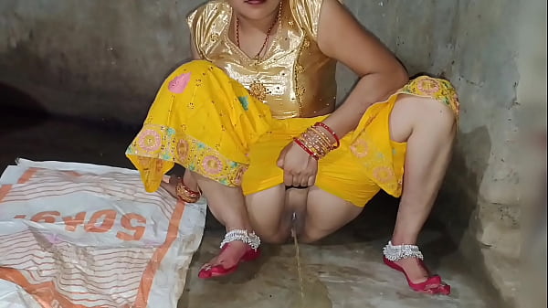 भारतीय मॉडल भाभी और देवर की गर्मागर्म चुदाई का साफ हिंदी ऑडियो